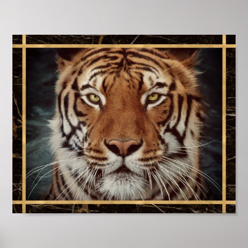 Tiger Face Photo Image Print Poster