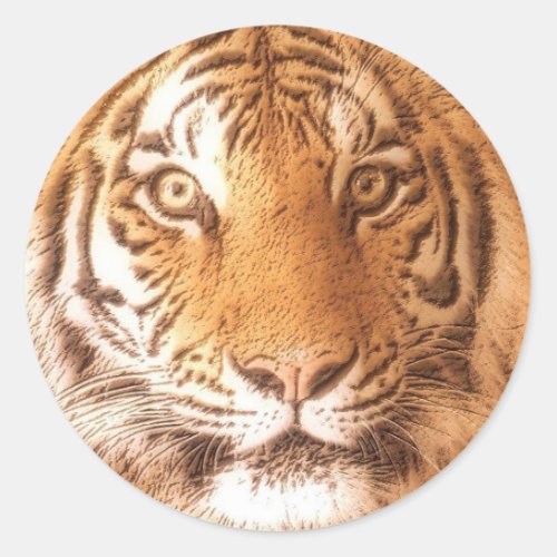 Tiger Face _ Sticker