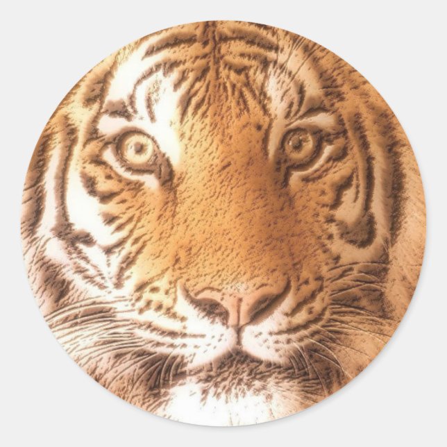 Tiger Face - Sticker (Front)