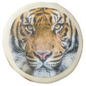 Tiger Face Sugar Cookie (Front)