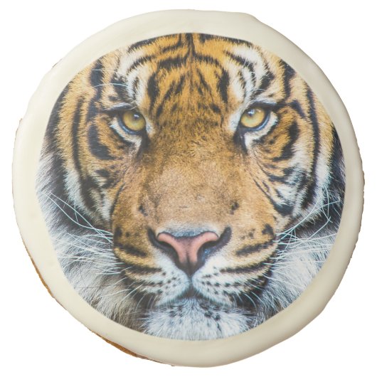 Tiger Face Sugar Cookie (Front)