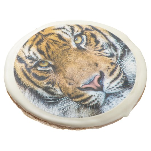 Tiger Face Sugar Cookie (Angled)