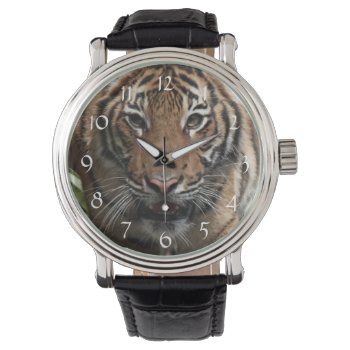 Tiger Face Watch by erinphotodesign at Zazzle