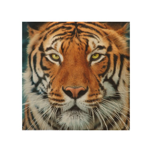 Tiger Face Wood Wall Decor (Front)