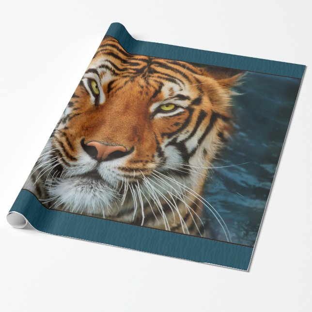 Tiger Face Wrapping Paper (Unrolled)