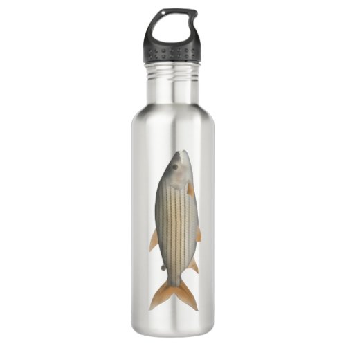 Tiger Fish Stainless Steel Water Bottle