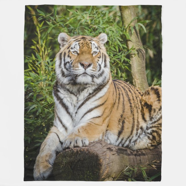 Tiger Fleece Blanket (Front)