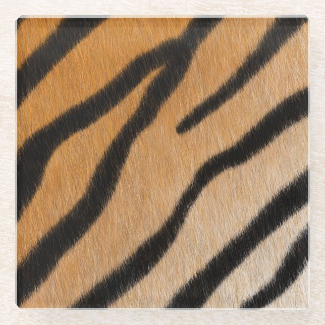Tiger Fur Realistic Animal Print Exotic Species Glass Coaster (Front)
