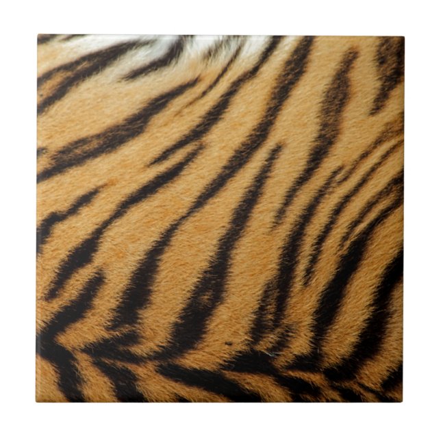 Tiger Fur Stripes Tile (Front)