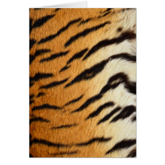 Tiger Fur Wildlife Cards Series