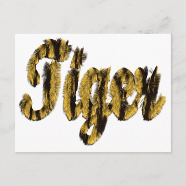 Tiger - Furry Text Postcard (Front)