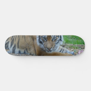 Tiger Gaze Skateboard Deck