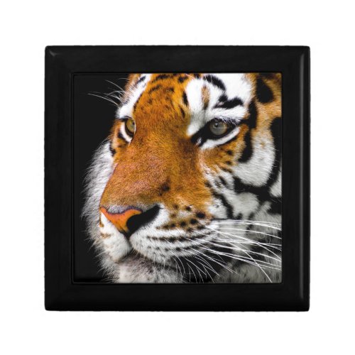 Tiger Gift Box