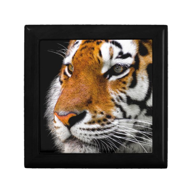 Tiger Gift Box (Front)