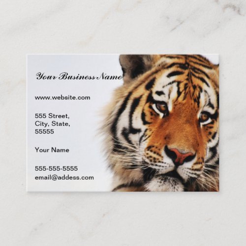 Tiger glance sideways photo business card