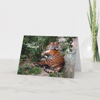 Tiger Greeting Card by TheCardStore at Zazzle