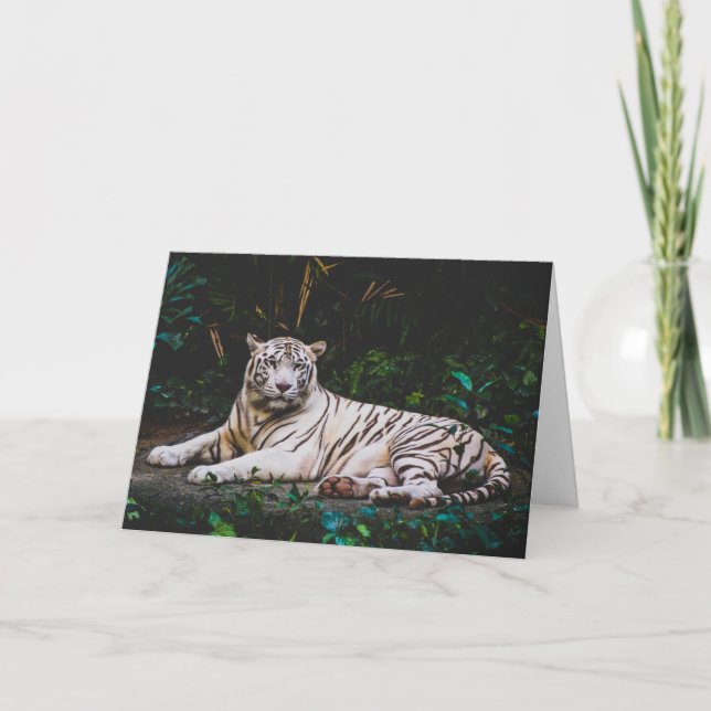 Tiger Greeting Card (Front)