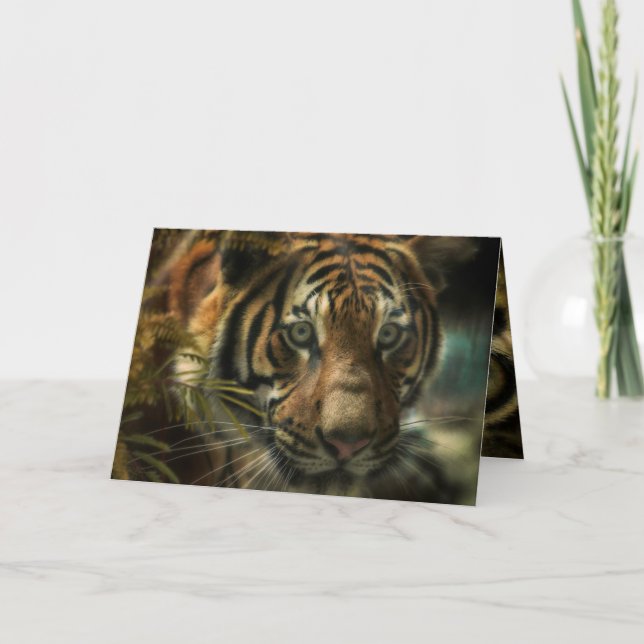 TIGER GROUND ZERO CARD (Front)