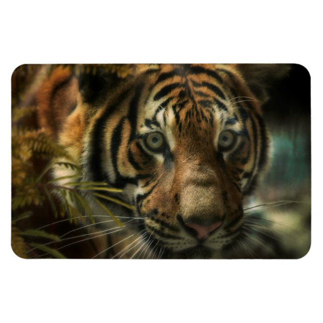 TIGER GROUND ZERO MAGNET (Horizontal)