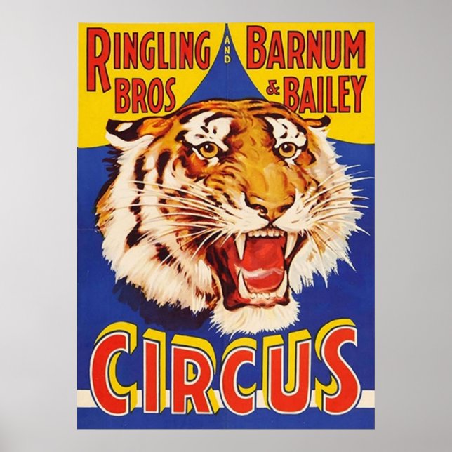 TIGER Growl Circus Ringling Bros Circus Anima Poster (Front)