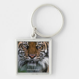 Tiger Head and Face Keychain