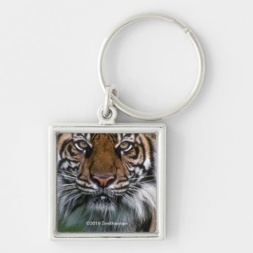 Tiger Head and Face Keychain