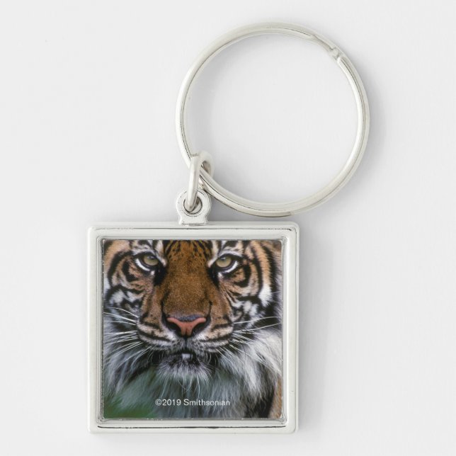 Tiger Head and Face Keychain (Front)