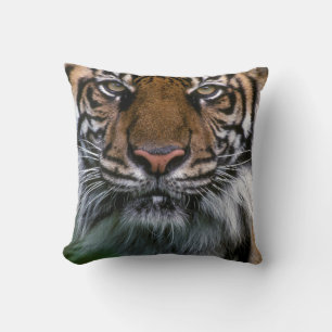 Tiger Head and Face Throw Pillow