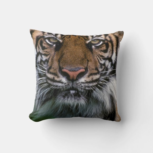 Tiger Head and Face Throw Pillow (Front)