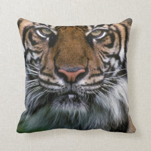 Tiger Head and Face Throw Pillow