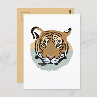 Tiger Head Face Wild Animal Tiger