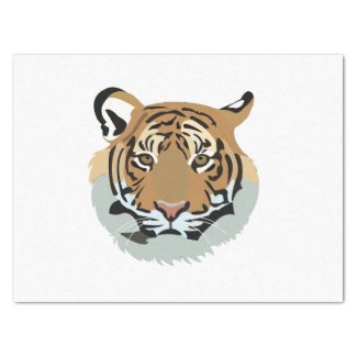 Tiger Head Face Wild Animal Tiger