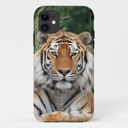 Tiger head male beautiful photo iphone 5 case mate