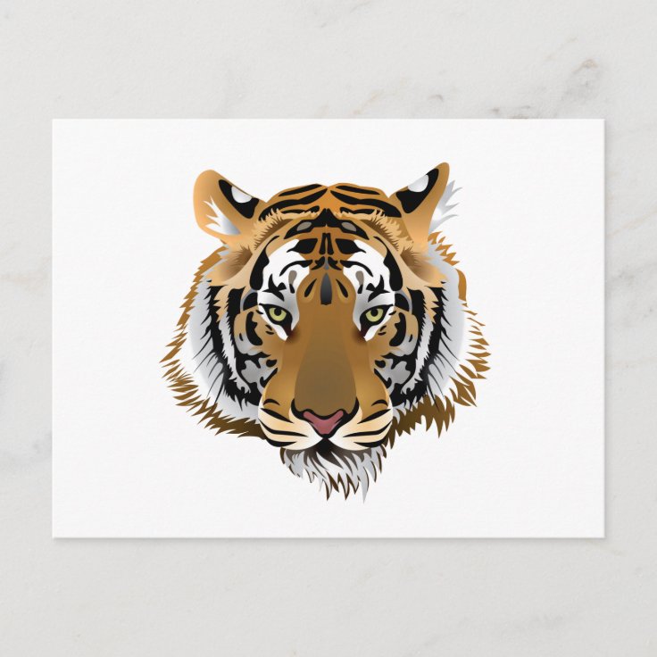 Tiger Head Postcard Zazzle