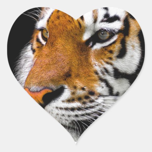 Tiger Heart Sticker