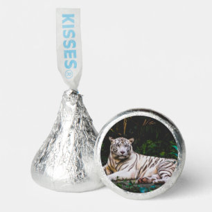 Tiger Hershey®'s Kisses®