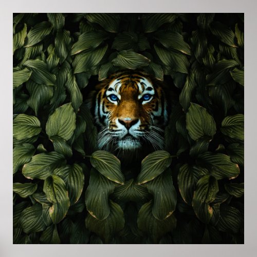 Tiger hiding  poster