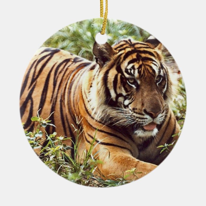 Tiger Holiday Ornament