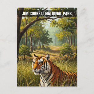 Tiger in Jim Corbett National Park Postcard