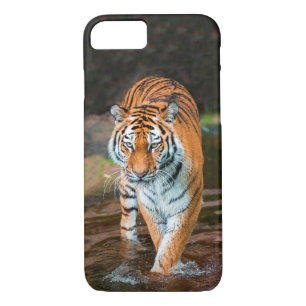 Tiger in River iPhone 8/7 Case