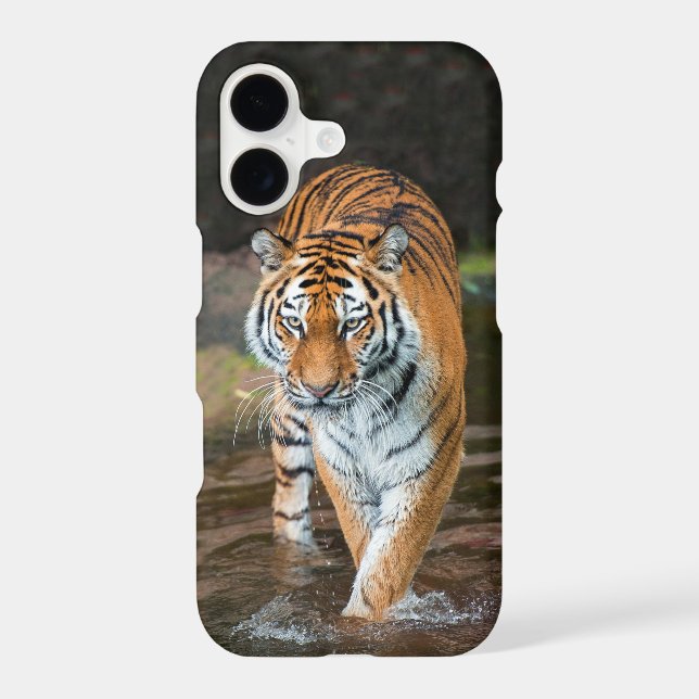 Tiger in River Iphone Case (Back)