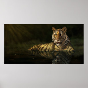 Tiger in the Water digital painting Poster