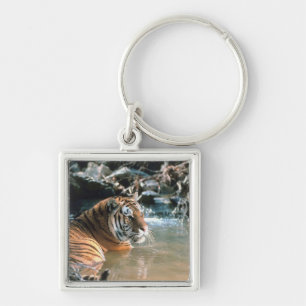 Tiger in water keychain