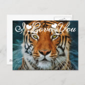 Tiger in Water Photograph I Love You Postcard (Front/Back)