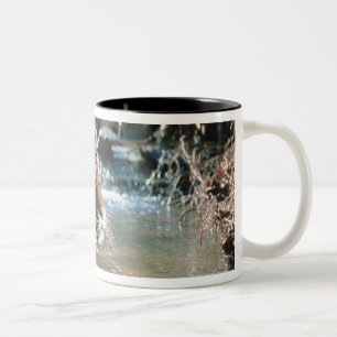 Tiger in water Two-Tone coffee mug