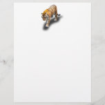 TIGER IN YOUR DIRECTION LETTERHEAD<br><div class="desc">A photograph of a tiger walking toward you.</div>