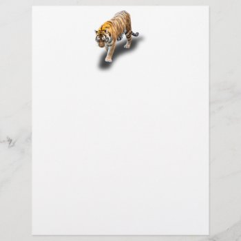 Tiger In Your Direction Letterhead by CNelson01 at Zazzle