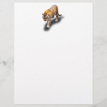Tiger In Your Direction Letterhead