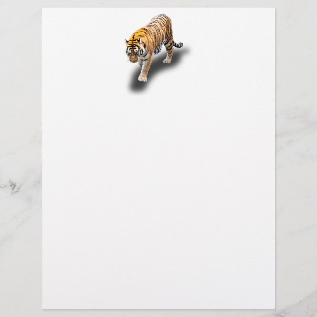 TIGER IN YOUR DIRECTION LETTERHEAD (Front)