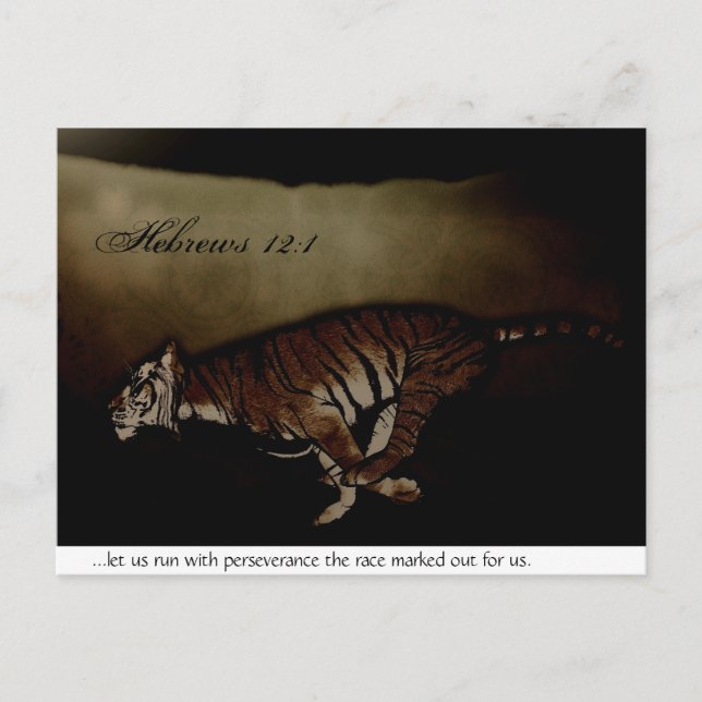 Tiger Inspirational Encouragment to Run the Race! Postcard (Front)
